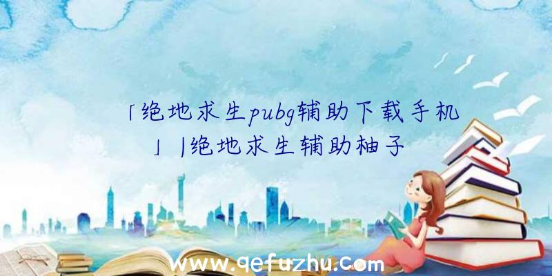 「绝地求生pubg辅助下载手机」|绝地求生辅助柚子